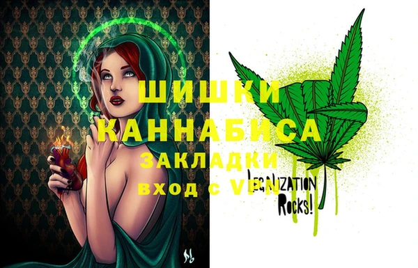 мдпв Бронницы