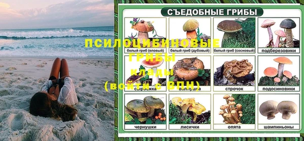 прущая мука Бородино