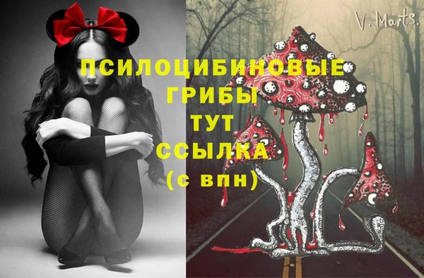 мдпв Бронницы