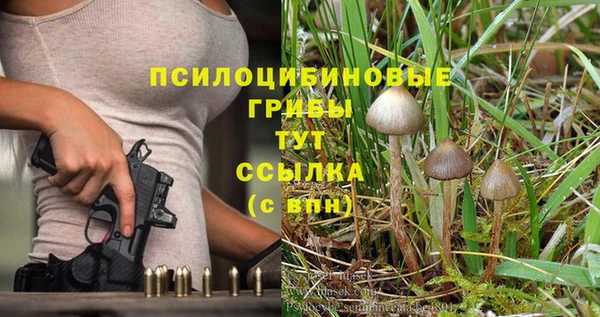сатива Верхнеуральск