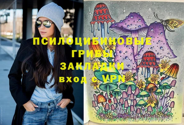 прущая мука Бородино