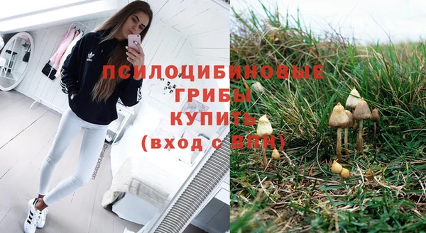 сатива Верхнеуральск