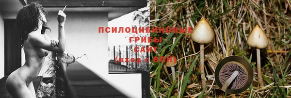 мдпв Бронницы